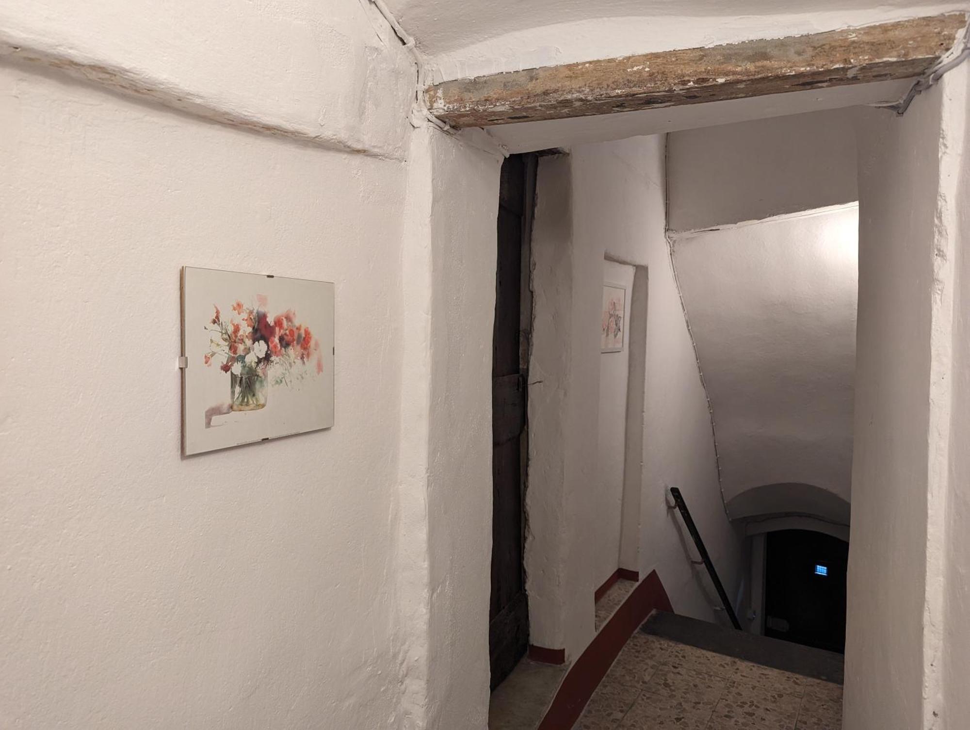 多尔切阿夸La Casa Degli Alberi别墅 外观 照片